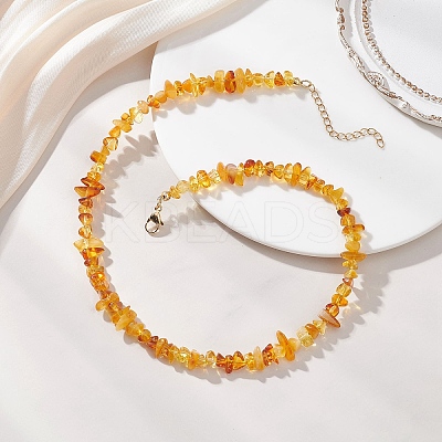Natural Amber Chip Beaded Necklaces for Women NJEW-JN05871-1