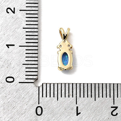 Synthetic Opal Flat Round Oval Charms KK-H089-05B-02-1