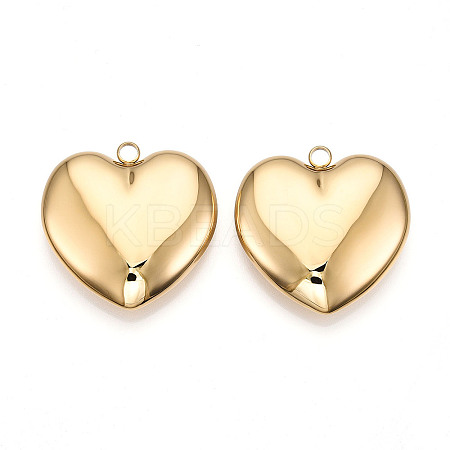 304 Stainless Steel Big Pendants STAS-T064-65G-1