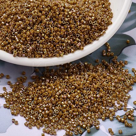 MIYUKI Delica Beads SEED-J020-DB2273-1