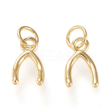 Brass Charms KK-K250-03G-1