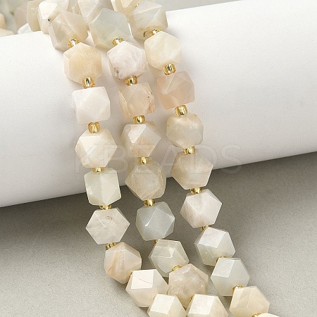 Natural Moonstone Beads Strands G-G271-A02-01-1