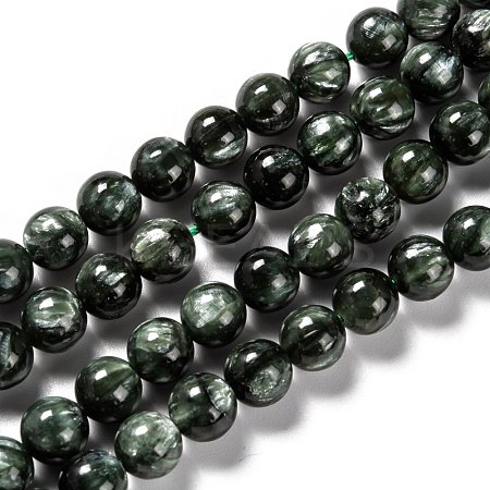Natural Seraphinite Beads Strands G-E557-22D-1