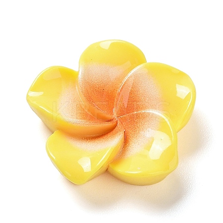 Opaque Resin Cabochons RESI-G068-02G-1