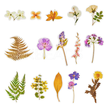 4 Bags 4 Styles Plant PET Adhesive Waterproof Stickers DIY-TA0009-84-1