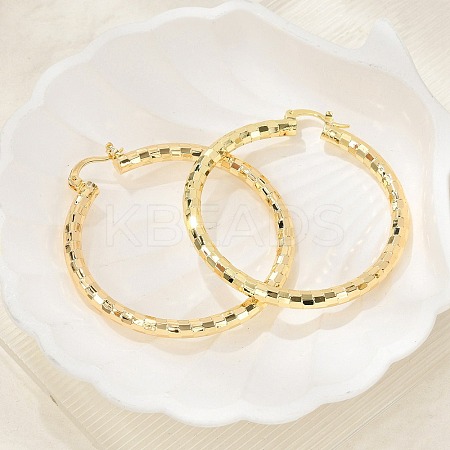 Brass Hoop Earrings EJEW-B117-06E-G-1