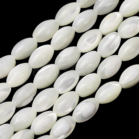 Natural Trochid Shell/Trochus Shell Beads Strands SH-CBA2978-09-1