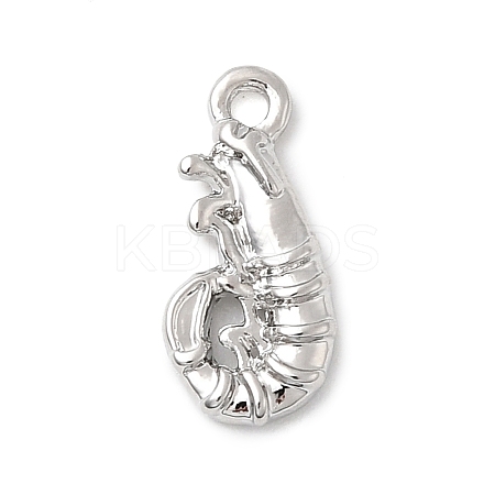 Alloy Pendantss FIND-I066-03P-1