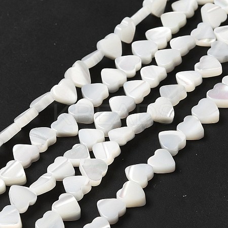 Natural Trochid Shell/Trochus Shell Beads Strands BSHE-E026-19-1
