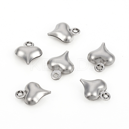 Non-Tarnish 304 Stainless Steel Charms STAS-I149-05B-P-1