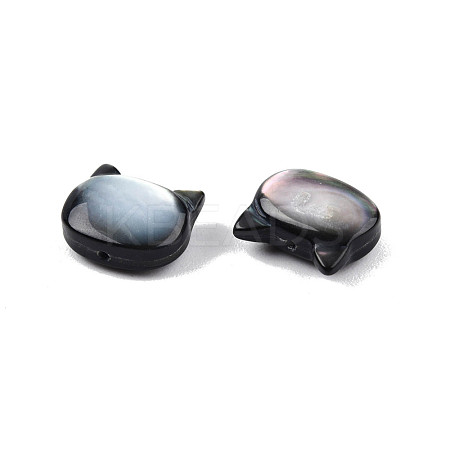 Natural Black Lip Shell Beads SSHEL-N003-147B-1