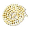Baking Paint Glass Bead Strands GLAA-H031-01C-03-3