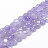 Natural Lavender Amethyst Beads Strands X-G-R445-8x10-23-1