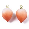 Opaque Resin Pendants RESI-T051-09B-2