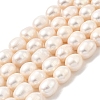 Natural Cultured Freshwater Pearl Beads Strands PEAR-I007-01E-02A-2