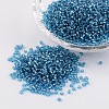 12/0 Glass Seed Beads X-SEED-A005-2mm-23B-1
