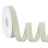 Polyester-cotton Ribbon OCOR-WH0048-04C-1