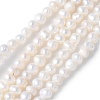 Natural Cultured Freshwater Pearl Beads Strands PEAR-I007-07K-01B-2