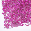 12/0 Grade A Round Glass Seed Beads SEED-N001-D-10/207-3