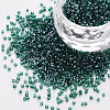 Glass Cylinder Beads SEED-S047-G-008-1