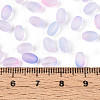 Frosted Glass Seed Beads SEED-N008-05G-4