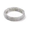 Natural Labradorite Stretch Bracelets BJEW-F406-B19-2