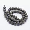 Electroplate Natural Labradorite Beads Strands G-F518-05-10mm-2