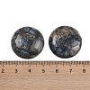 Natural Glaucophane Cabochons G-H1596-FR-25mm-19-3