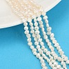 Natural Cultured Freshwater Pearl Beads Strands PEAR-P064-19B-04E-1
