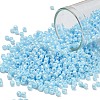 TOHO 8/0 Round Beads SEED-TR08-0124-1