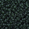 MIYUKI Round Rocailles Beads SEED-G007-RR0156F-3
