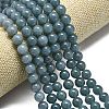 Natural Malaysia Jade Beads Strands G-L645-C01-12mm-09-3