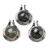 Natural Labradorite Pendants G-M405-06P-3