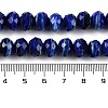 Handmade Lampwork Beads Strands LAMP-T007-13H-4