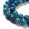 Natural Apatite Beads Strands G-P132-04-8mm-3