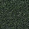 12/0 Grade A Round Glass Seed Beads SEED-Q011-F525-2
