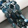 Natural Apatite Beads Strands G-Q026-A01-03-2