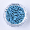 Glass Cylinder Beads SEED-Q036-01A-D06-2