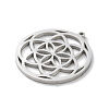 Anti-Tarnish 304 Stainless Steel Pendants LS-STAS-S149-02P-2