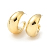 Arch Acrylic Stud Earrings EJEW-P251-17A-1