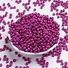 Baking Paint Glass Seed Beads SEED-S003-K21-2