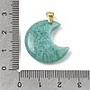 Natural Amazonite Pendants G-A297-02G-11-3