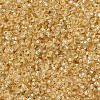 MIYUKI Round Rocailles Beads X-SEED-G007-RR0002-3