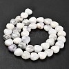 Natural White African Opal Beads Strands G-H005-C10-01-3