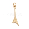 Rack Plating Brass Clear Cubic Zirconia Pendants LS-KK-M229-26G-2