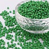 8/0 Glass Seed Beads SEED-US0003-3mm-47-1
