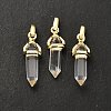 Natural Quartz Crystal Double Terminal Pointed Pendant G-H097-01G-02-2
