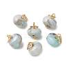 Natural Larimar Pendants PALLOY-JF05885-1