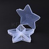 10 Grids Transparent Plastic Box CON-B009-06-4