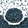 6/0 Glass Seed Beads SEED-S027-06B-14-2